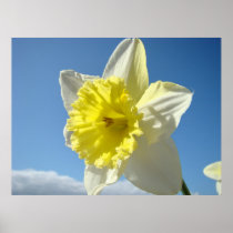 Art Prints gifts Daffodil Flowers Canvas Spring