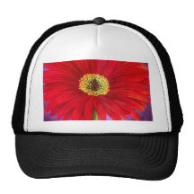 Art rouge de peinture de fleur de Gerber de margue Casquette