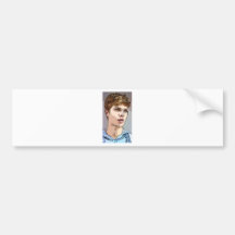 art - the male model bumper stickers