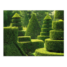 Art topiaire vert - carte postale