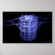 Arteries surrounding part of the spinal column posters
