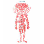 Arteries T-Shirt