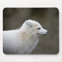 Artic Fox Mousepad