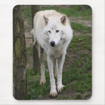 artic wolf mousepad