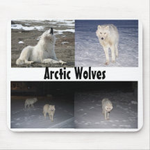Artic Wolves Mouse Pads