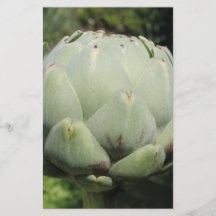 Artichoke Plant. Full Color Flyer