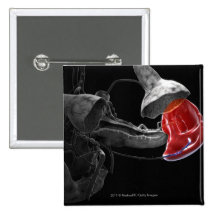 Artistic 3d rendering of the spleen pinback buttons