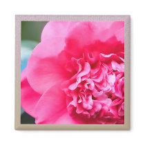 Artistic Camillia Magnet