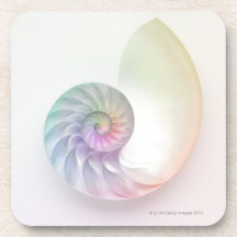 Artistic coloured nautilus image drink coasters