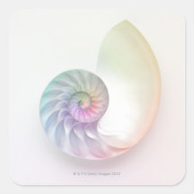 Artistic coloured nautilus image square stickers