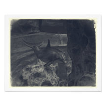 Artistic Dolphin Photo