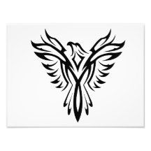 Artistic Eagle Silhouette Art Photo