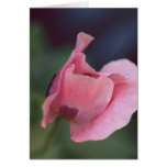 Artistic Floral card with Poppy