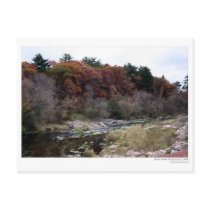 Artist's Palette Postcard
