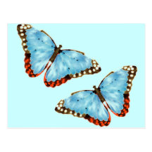 Artsy Butterflies Post Cards