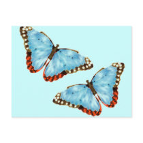 Artsy Butterflies Post Cards