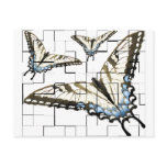 Artsy Butterflies Postcard
