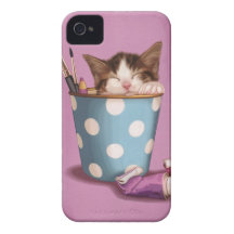 Arty kitten in polka dot pencil pot iPhone 4 case