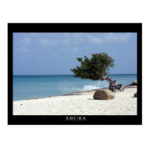 ARUBA fofoti tree Postcard