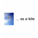 as a kite ladies t t-shirts