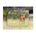 As The Deer Pants for the Water Brooks... Postcard