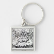 As the Salamander lives in fire Key Chains