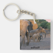 asdf schlüsselanhängern