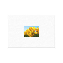 asdf stretched canvas prints