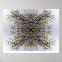 ash, spring 2006 print