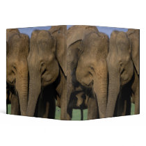 Asia, India, Nargahole National Park. Indian 2 Vinyl Binders