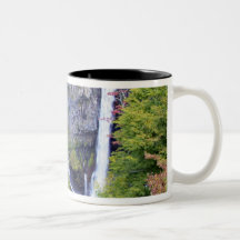 Asia, Japan, Nikko. Kegon waterfall of Nikko, a Coffee Mug