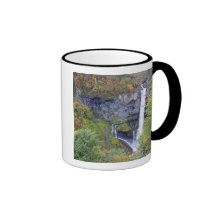 Asia, Japan, Nikko. Kegon waterfall of Nikko, a Mug