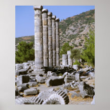 Asia, Middle East, Turkey, Ephesus. Temple of Posters