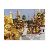 Asia, Myanmar (Burma), Bagan (Pagan). The Shwe 5 Post Card