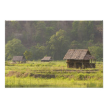 Asia, Thailand, Mae Hong Son, Rice huts in the Art Photo