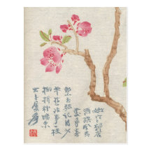 Asian Cherry Blossom Vintage Postcard