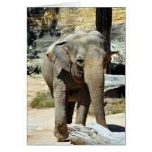 Asian Elephan Greeting Card