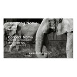 Asian Elephant Business Card