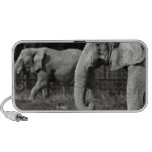 Asian Elephant Speakers