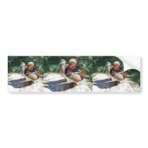Asian Mandarin Ducks Male & Female Bumper Stickers