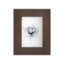 Asian Song Birds Drawing Vintage Art Canvas Brown Gallery Wrapped Canvas
