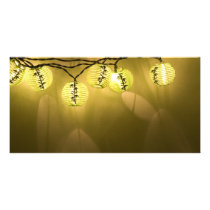AsianLanterns060709 Picture Card