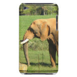 Asiatic Elephants iTouch Case Barely There iPod Cover