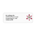 Asiatic Lily 'Lollipop' ~ labels