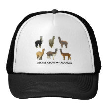 Ask me about my alpacas hat