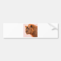 Aslan The king Bumper Sticker