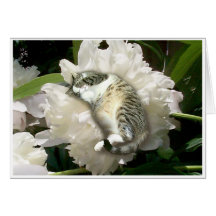 Asleep on a Peony Card