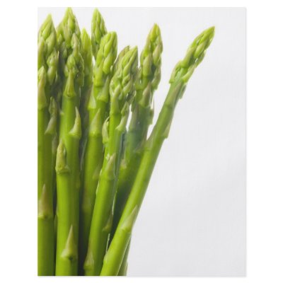 Asparagus Flyer Design by joxxxxjo