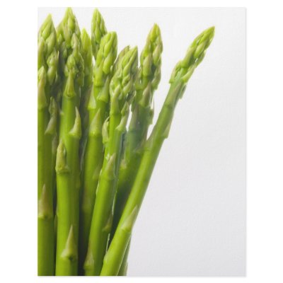 Asparagus Custom Letterhead by joxxxxjo