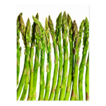 Asparagus on White Customizable - Vegetables Post Card
